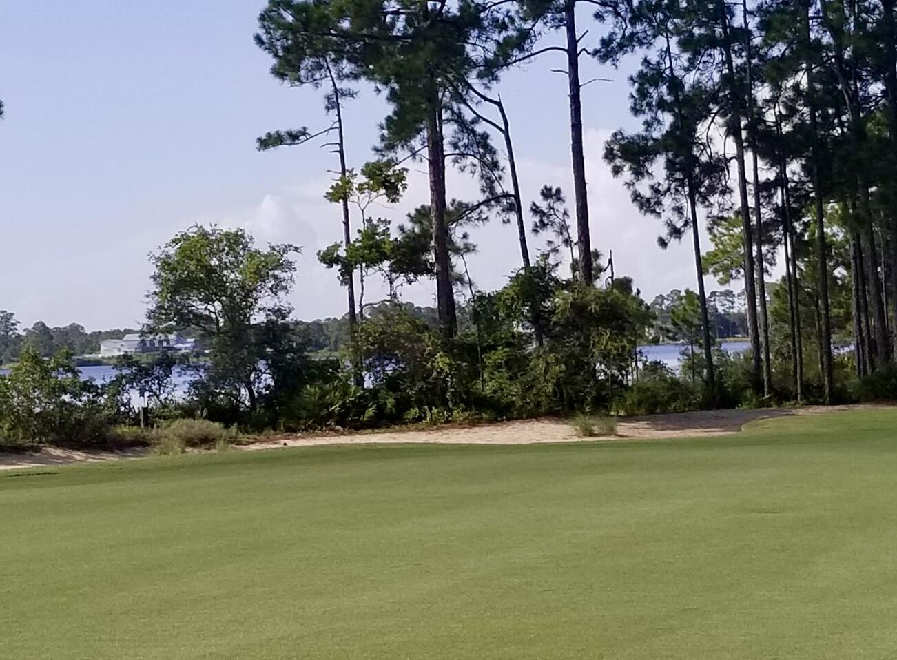 WILD HERON PHASE I - Land