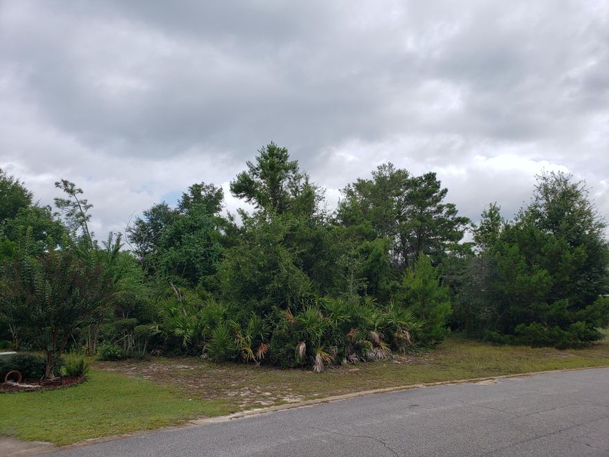 Great opportunity to build in Rain tree Estates.Corner lot with enough room to build a sizable home.Raintree Estates includes 2 Parks.One park is on the bay ,enjoy fishing off the shore or on the newer dock. covered pavilion with large seating area great for entertaining.The other park in the neighborhood features a ball park and room to roam.Close to the Mid-Bay Bridge and Destin,Great shopping,20 minutes to Eglin AFB,Duke Field 30 minute drive.As you can see this property has alot to offer.