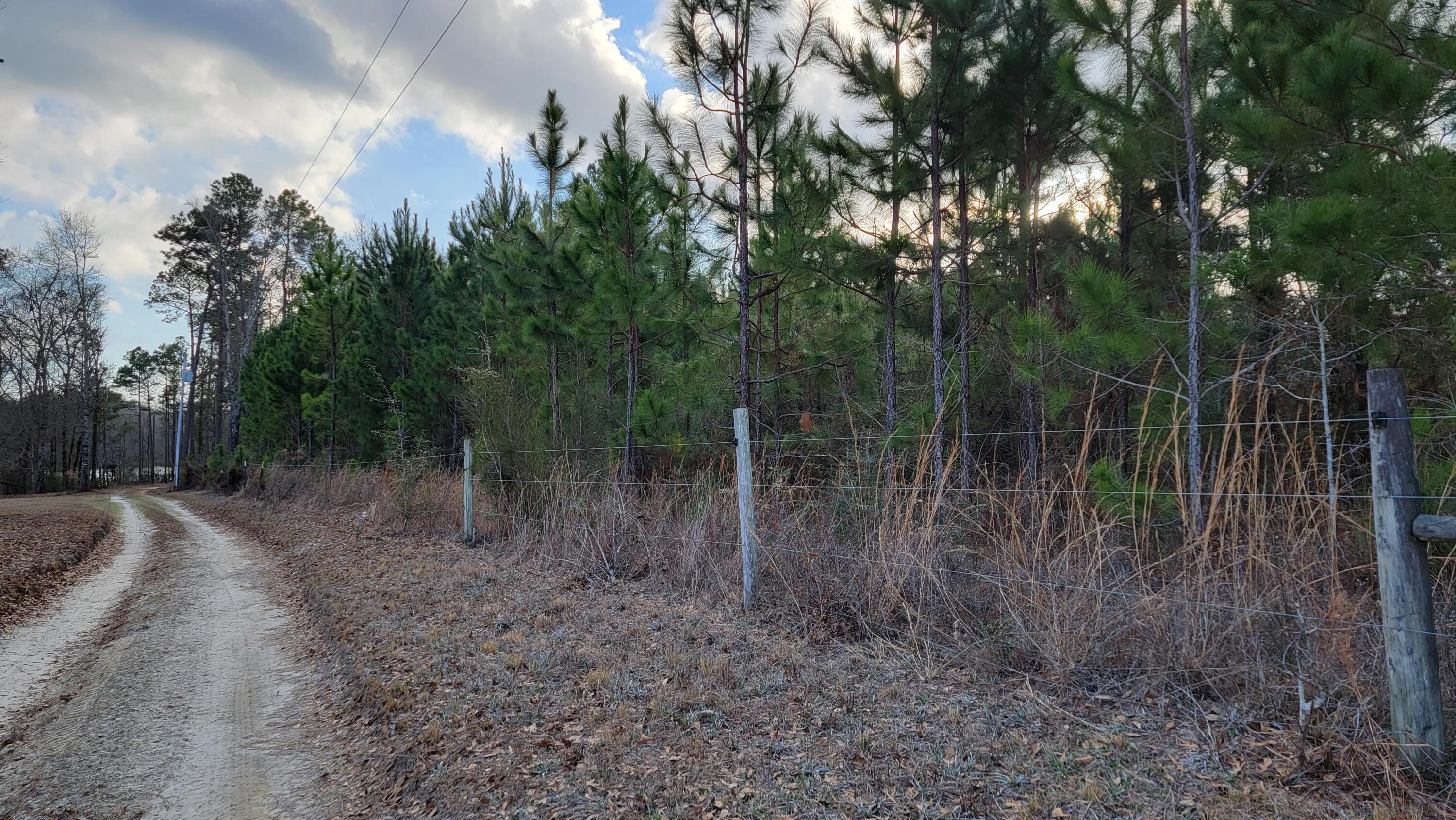 METES & BOUNDS - Land