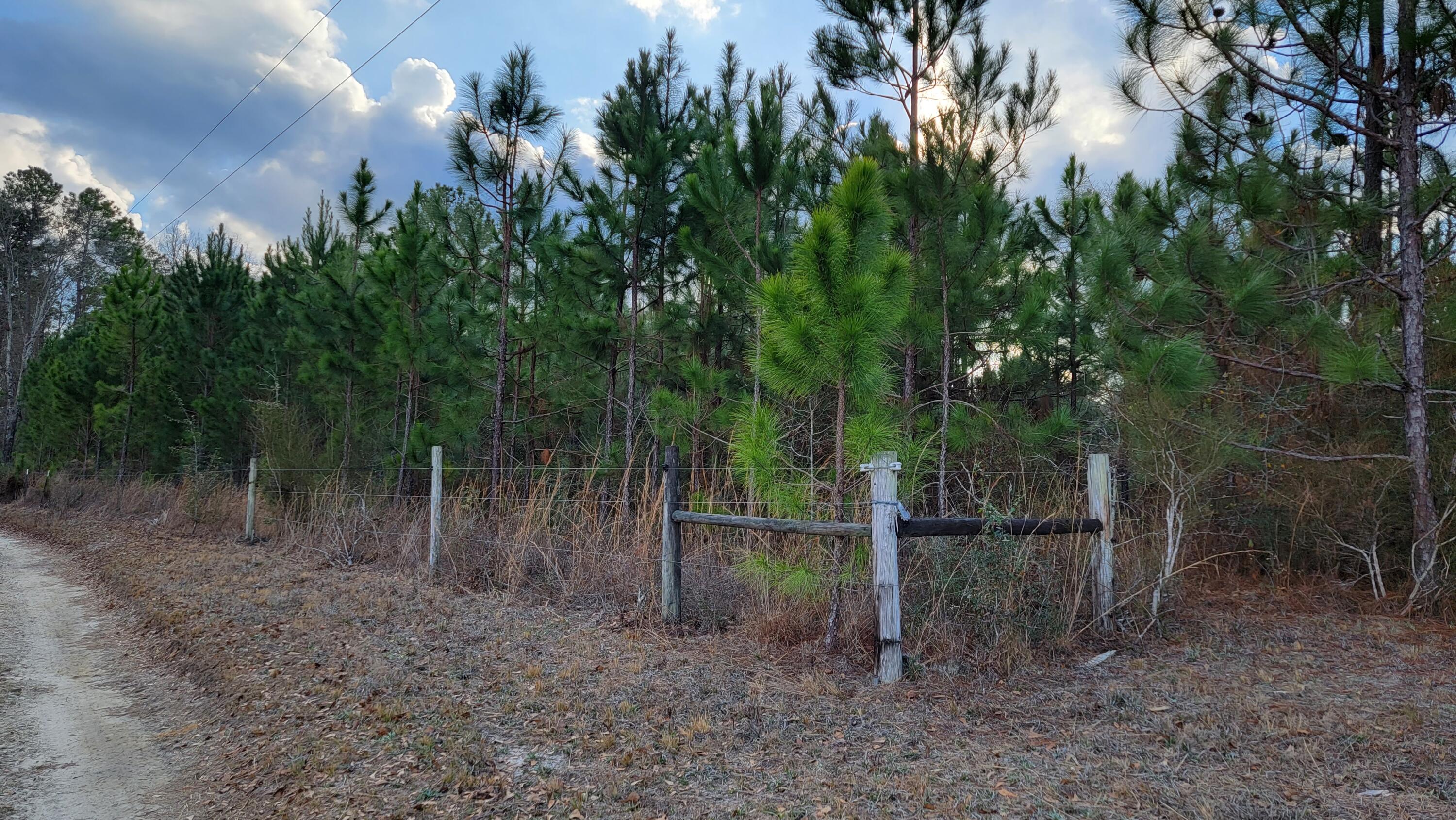 METES & BOUNDS - Land