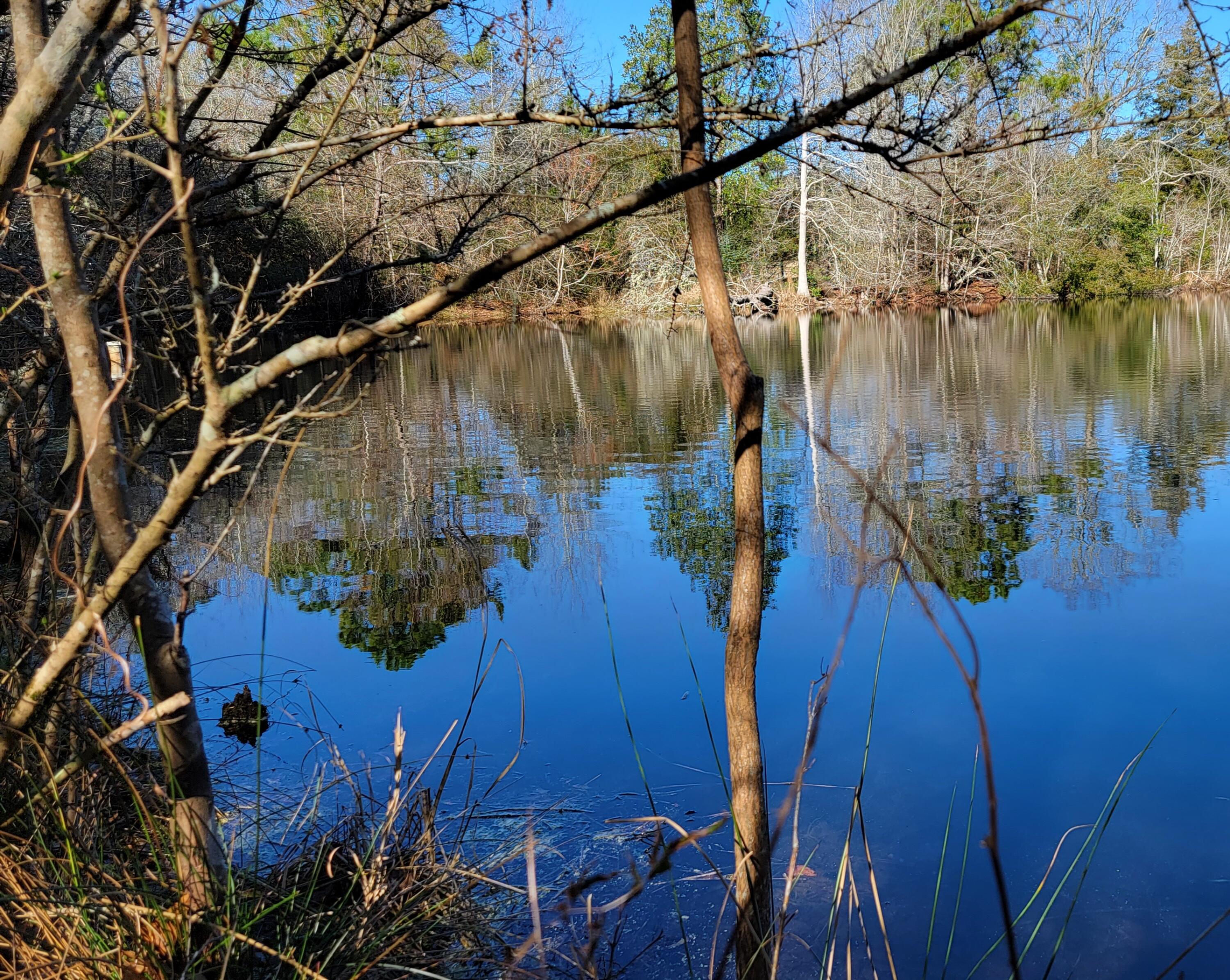 This private parcel of land in North Baker is nice and quiet, features a portion of a small pond and would be ideal for your new home. Build overlooking the pond and keep the back portion of the property for animals or garden space. Plenty of room to spread out, here!