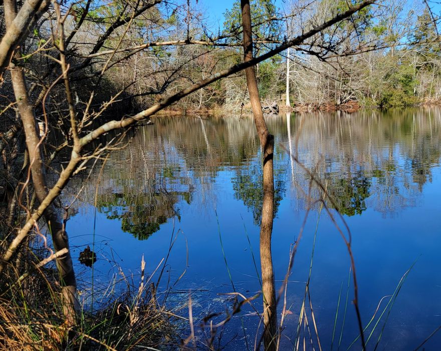 This private parcel of land in North Baker is nice and quiet, features a portion of a small pond and would be ideal for your new home.  Build overlooking the pond and keep the back portion of the property for animals or garden space.  Plenty of room to spread out, here!