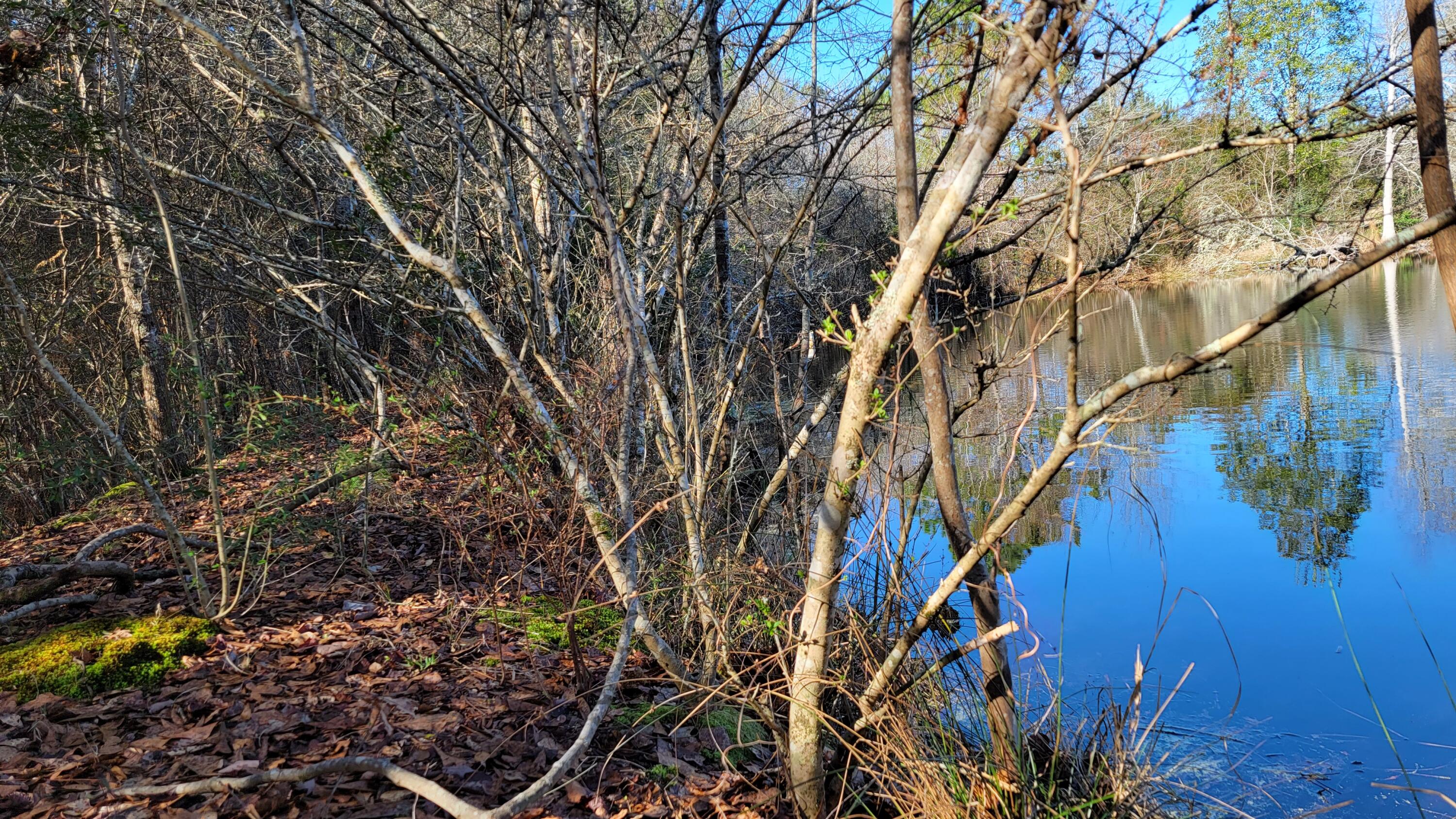 METES & BOUNDS - Land