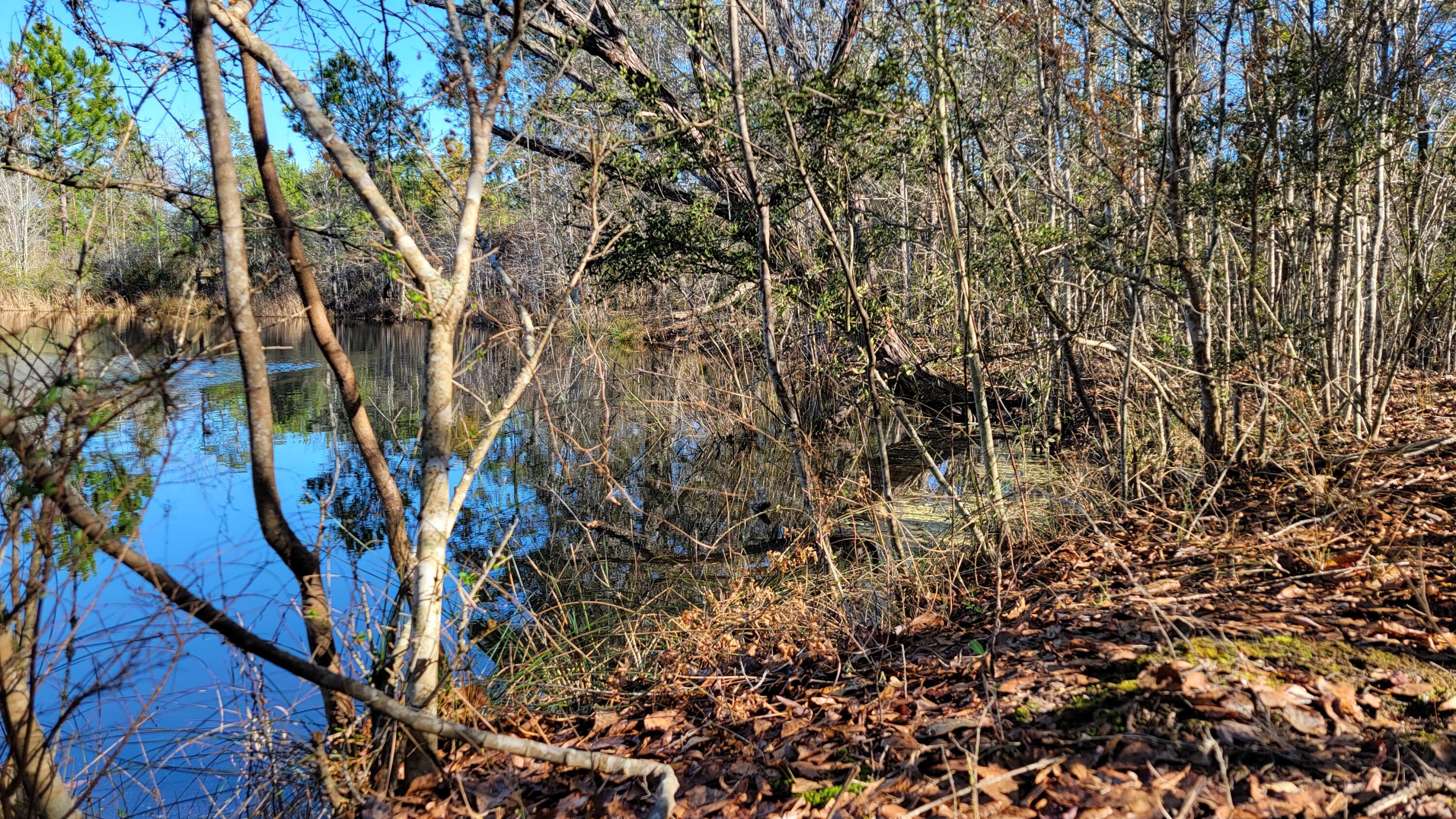 METES & BOUNDS - Land