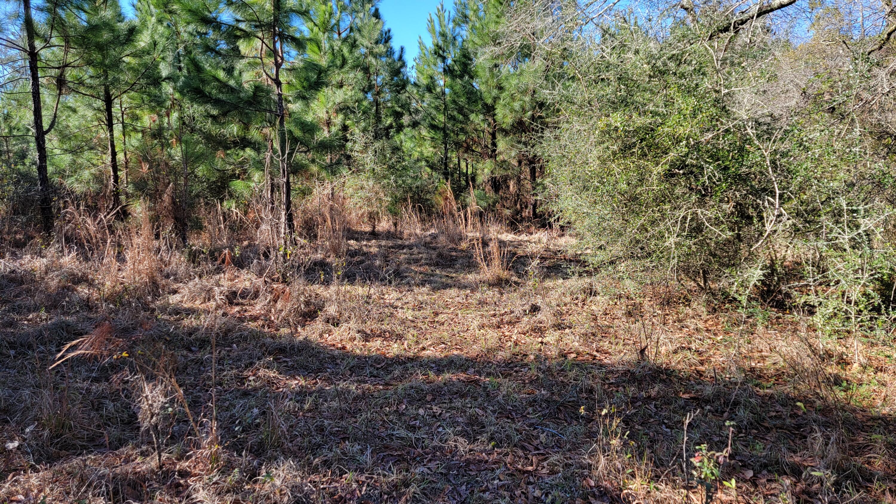 METES & BOUNDS - Land