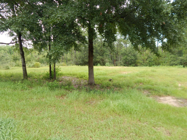 SILVER OAKS PH 1 - Land