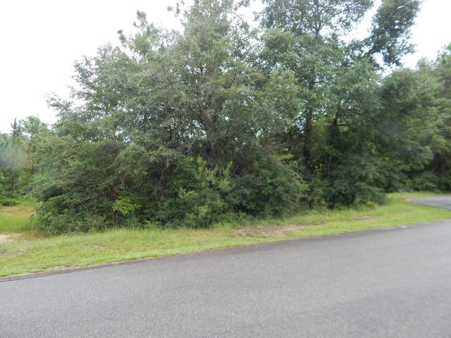 SILVER OAKS PH 1 - Land