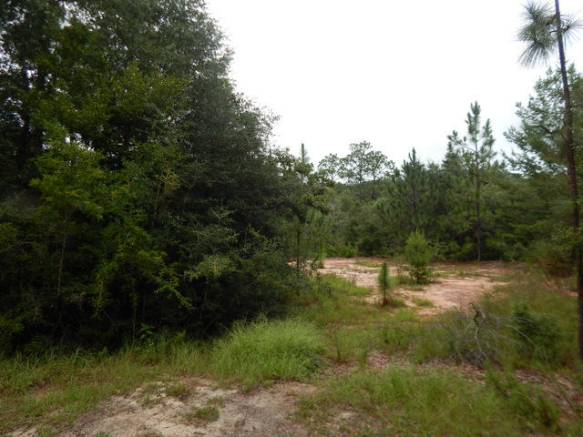 SILVER OAKS PH 1 - Land