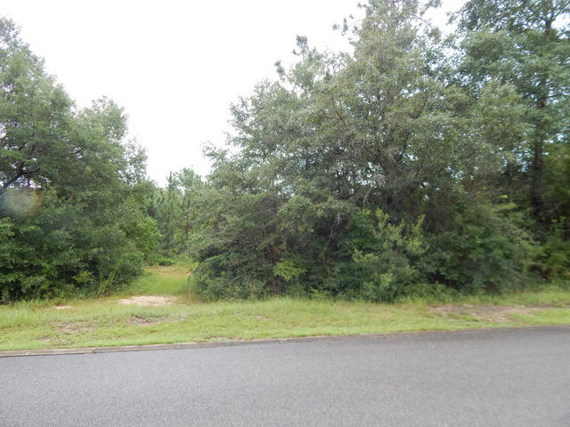 SILVER OAKS PH 1 - Land