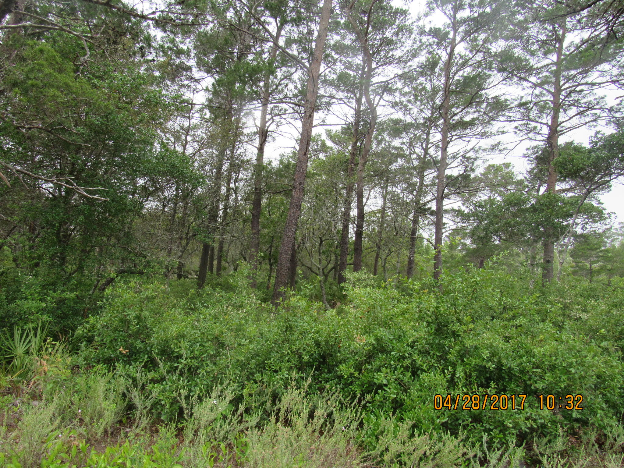 EAST BAY HEIGHTS - Land