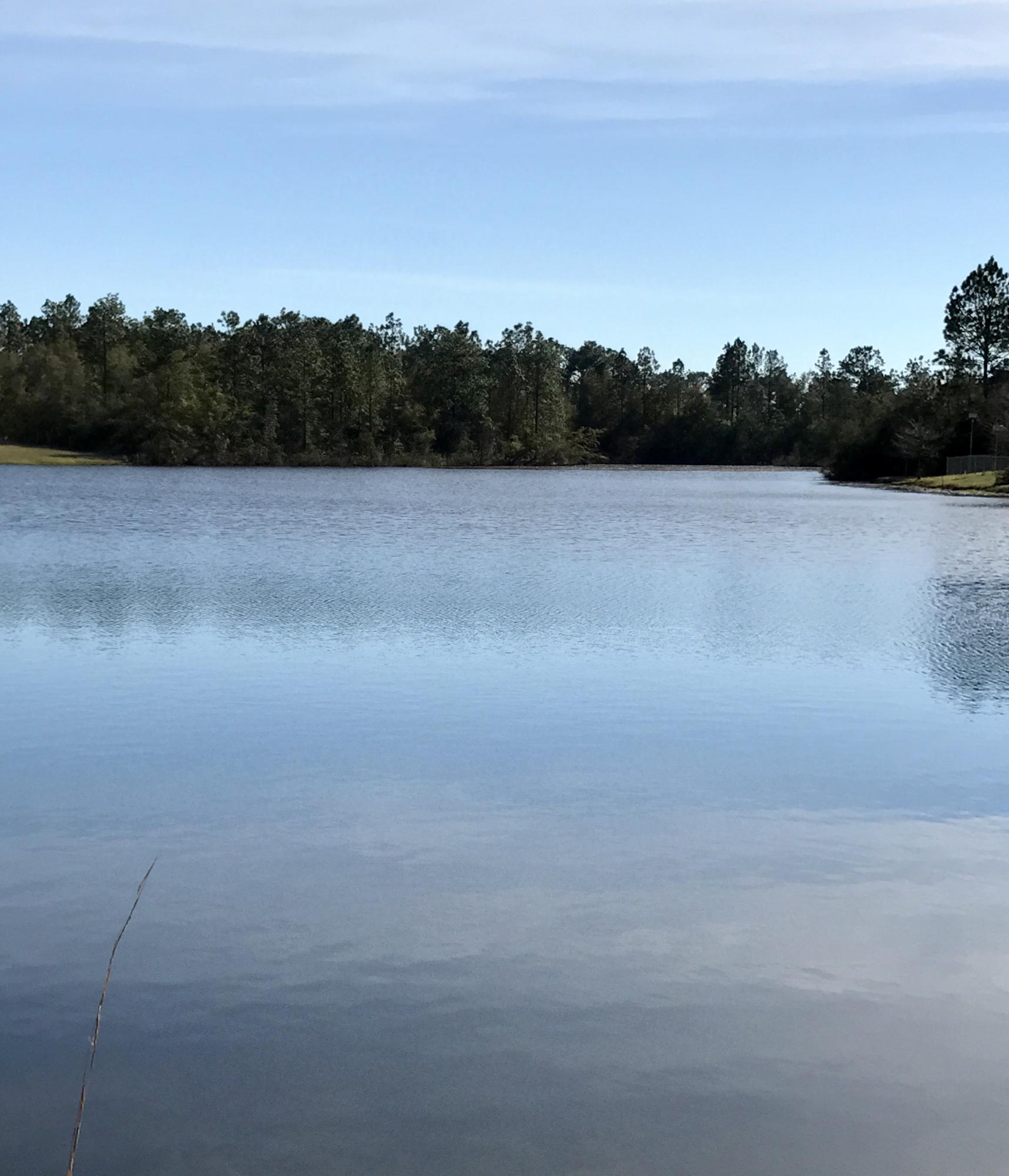 OAKWOOD LAKES ESTATES - Land