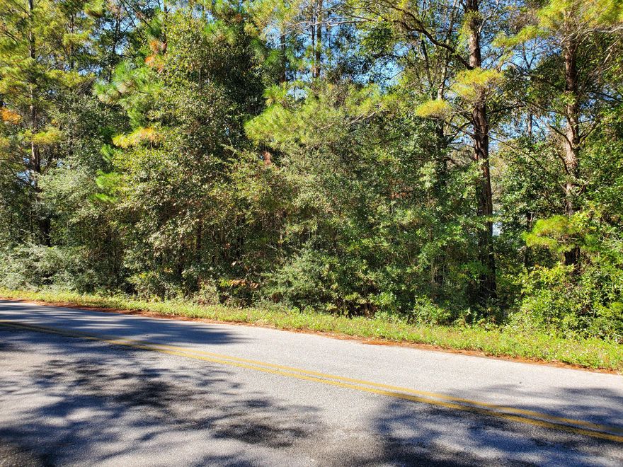 Wooded 1.46 acre on Juniper Lake.  Marion Drive is a paved road with utilities at the road.  It is a rare find. Don't miss out to own a waterfront property for your future home.