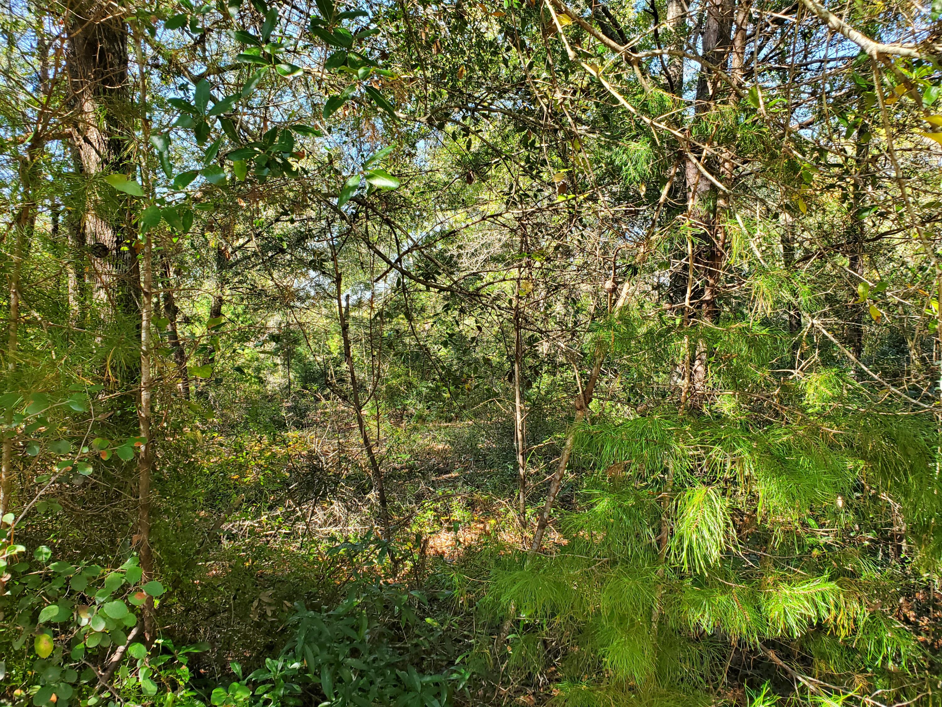 LAKE JUNIPER ESTATES UNIT 3 - Land