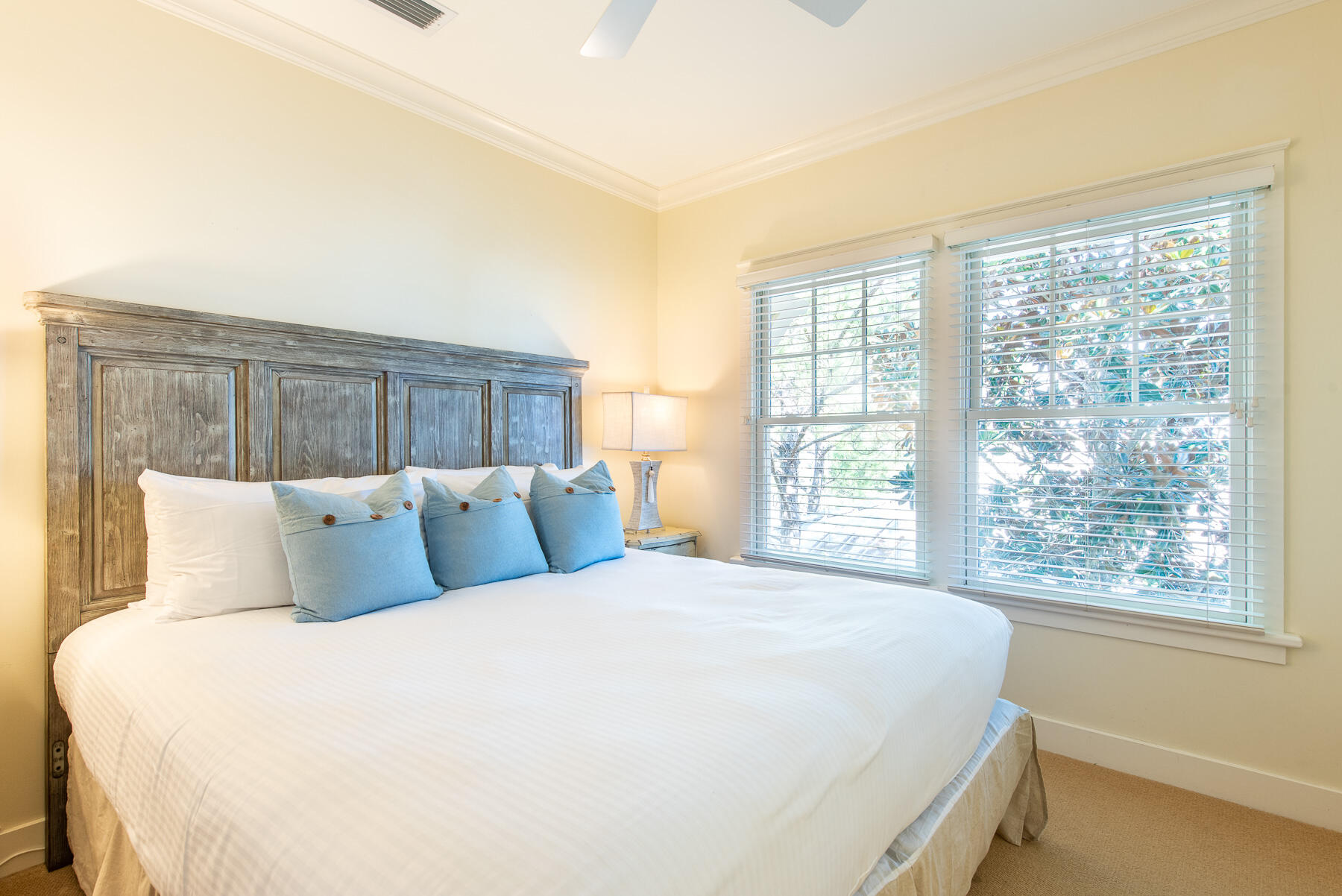 WATERCOLOR - Residential