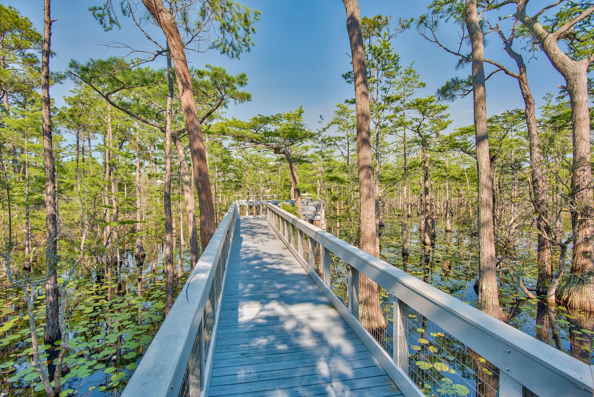 CYPRESS DUNES - Land