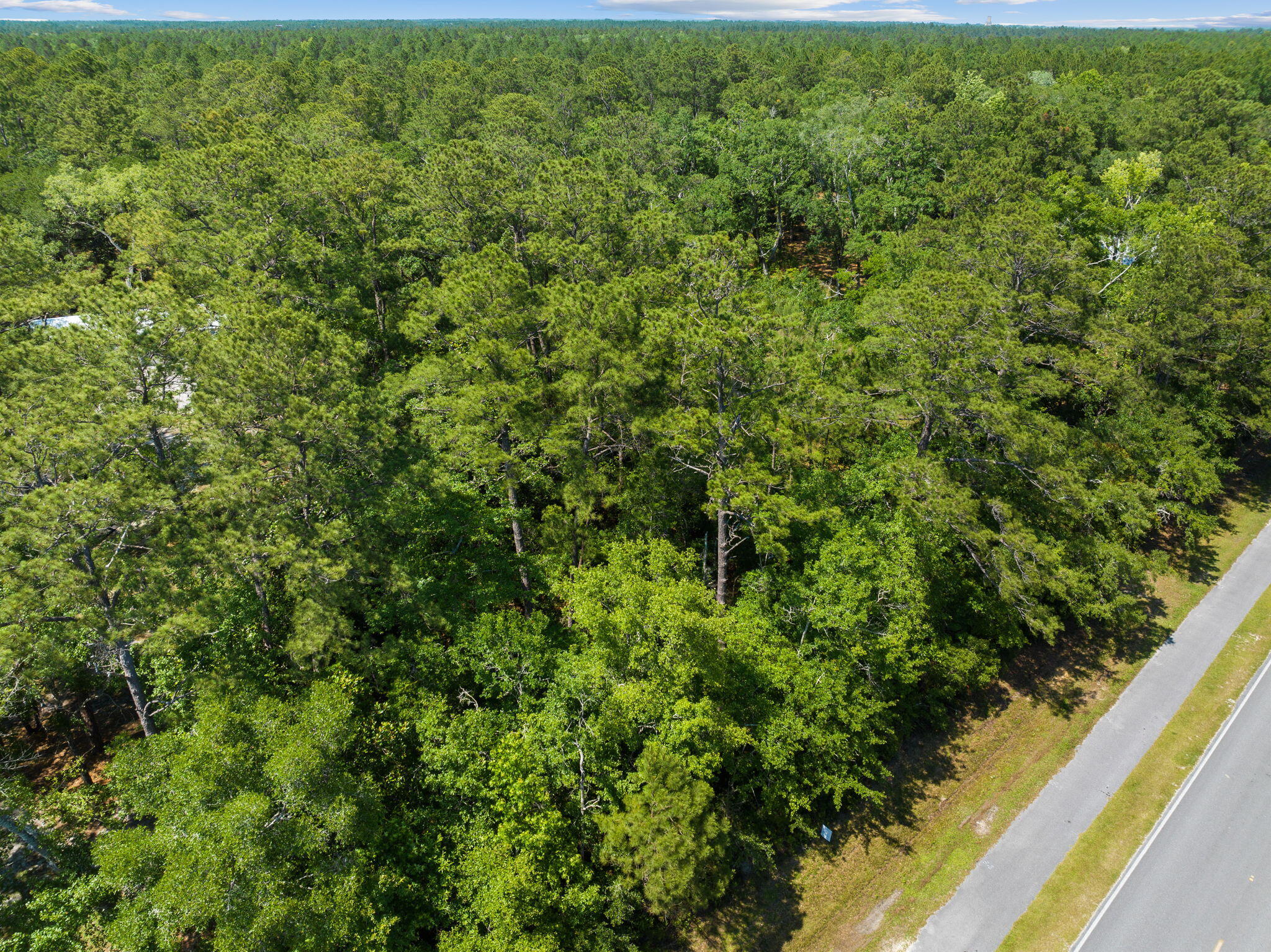 LOT 2 OAKS UNRECD S/D - Land