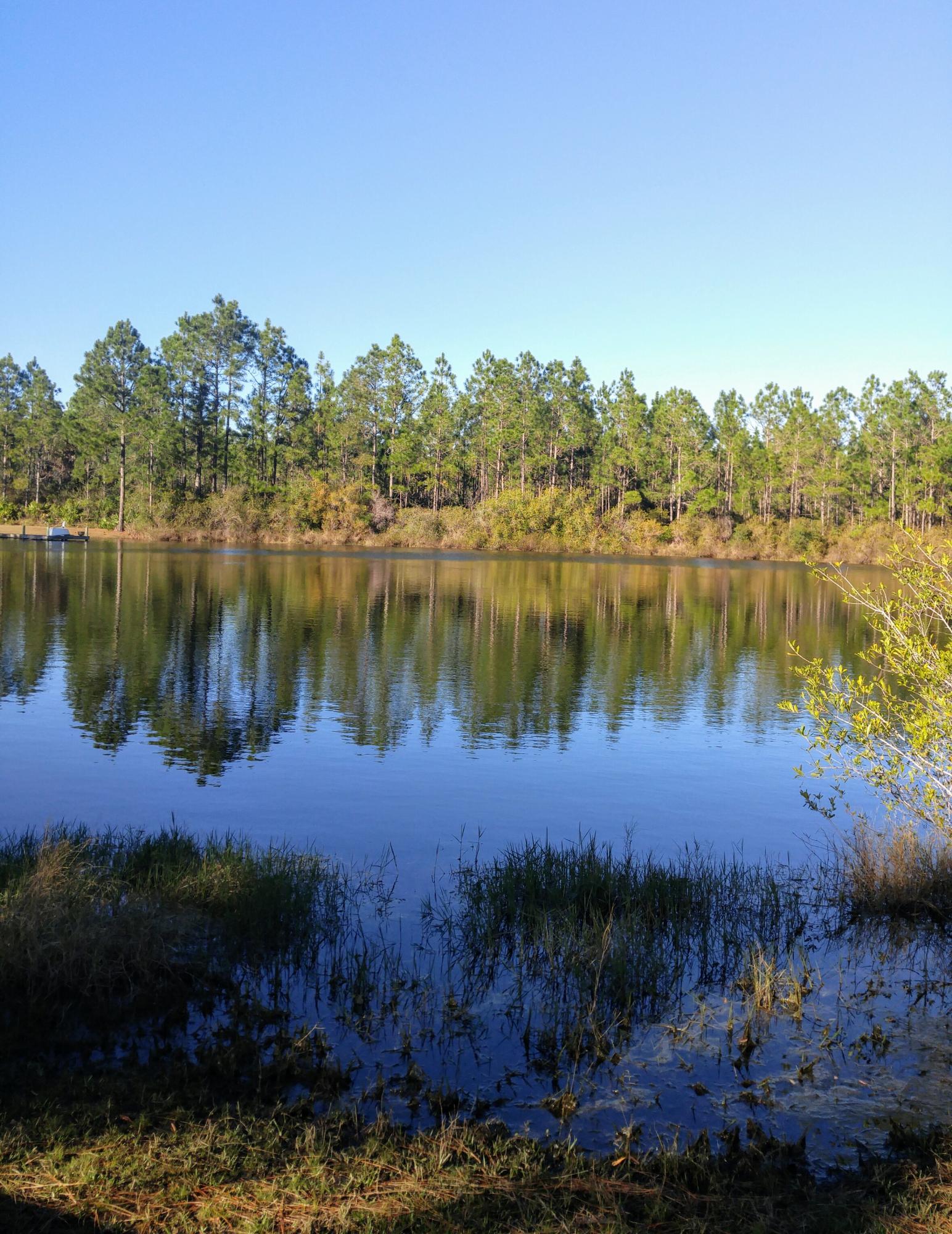 CANO ESTATES - Residential