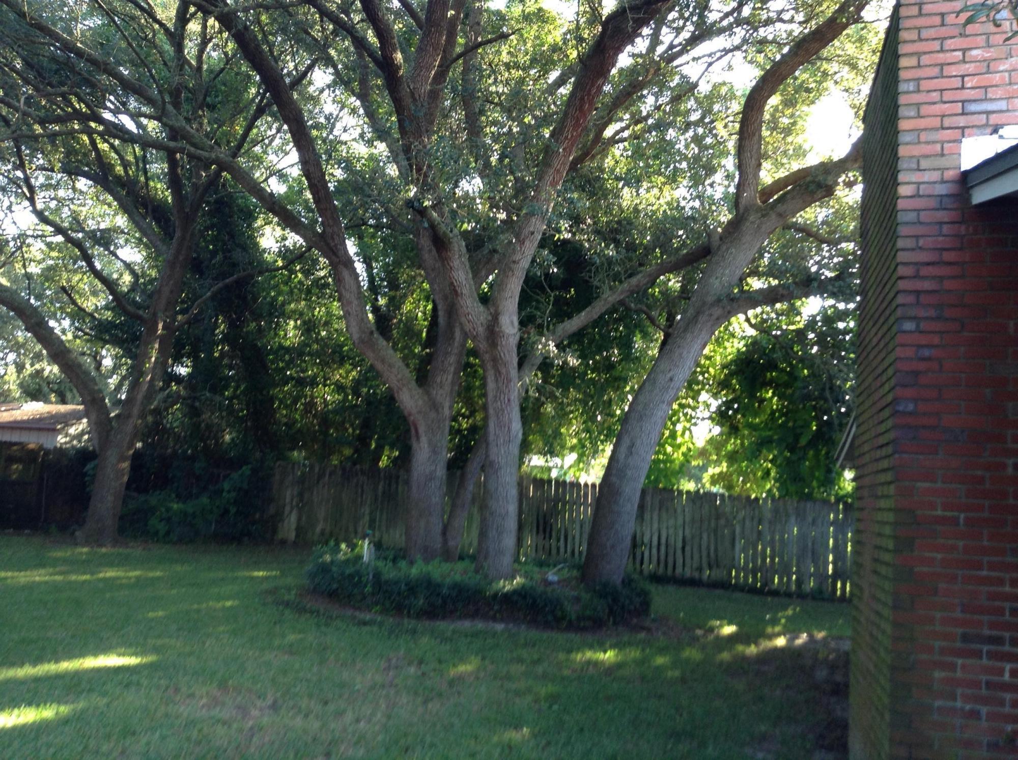 WINTHROP PLACE 1ST ADDN - Residential