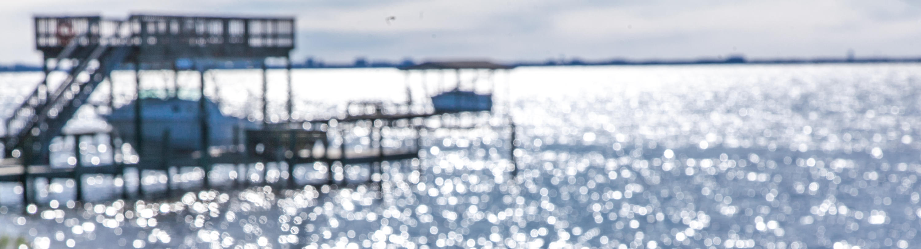 RAINTREE ESTATES - Residential