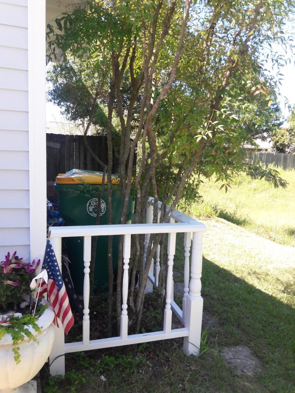 BLUE PINE VILLAGE PH 2 - Residential Lease