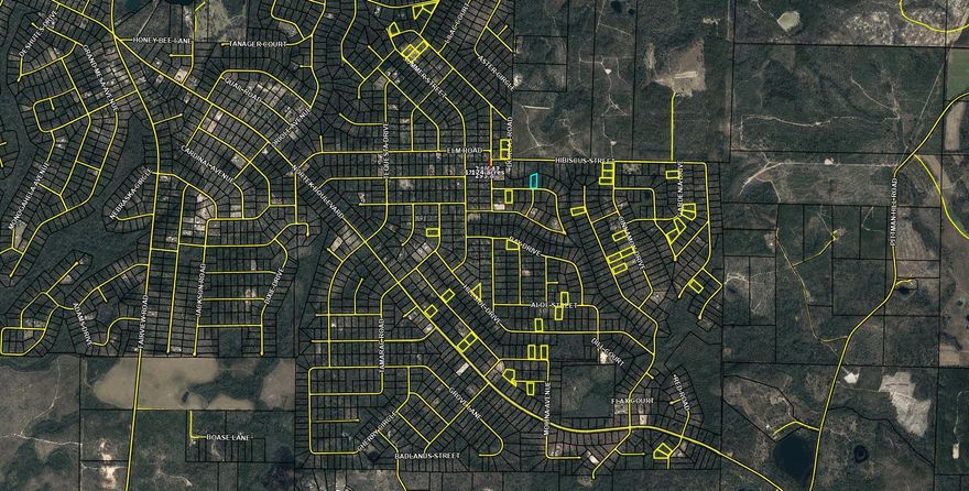 Large 1.121 acre lot in Compass Lake in the Hills. There is a voluntary HOA of $135 a year, but what a great price for all the amenities that are included such as: access to 2 lakes for fishing, tennis, horse stables / riding, rental cabins, RV spots, boat rentals, clubhouse, and a golf range. Being an all-sports lake, enjoy water skiing, tubing, jet skiing, boating, sailing, kayaking & swimming. No need to worry about lunch while out on the water when you have a boat accessible shoreline restaurant. This location is great for someone who enjoys nature and a short drive to the beach since it is located half way between Panama City And Dothan. The area is rich in historical significance, with many restored antebellum plantation homes open for tours or as bed-and-breakfast