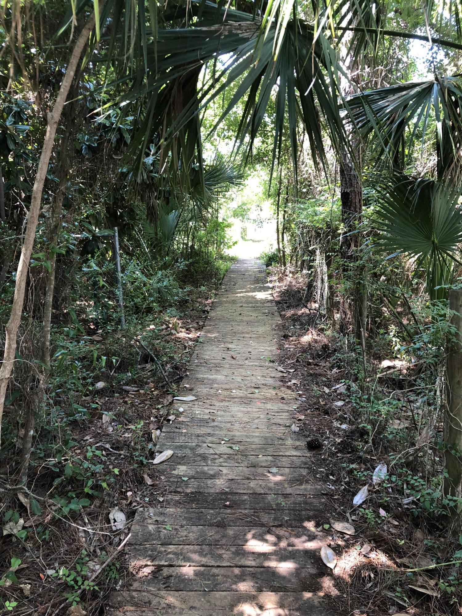 SANTA ROSA BEACH - Residential