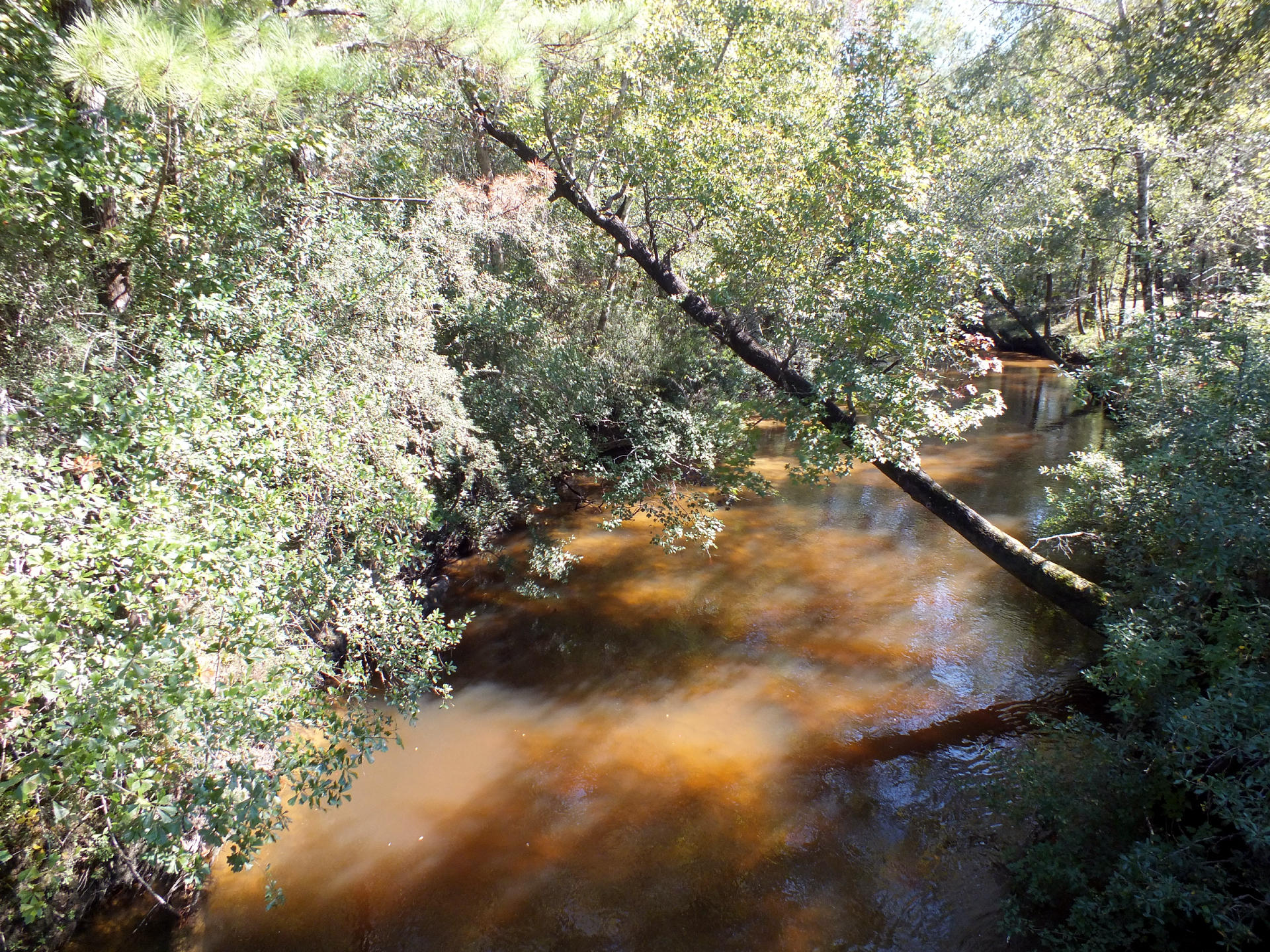 Four lots comprising just under 4 acres with approximately 460 ft of frontage on the Shoal River. The property would be a great place to build a weekend retreat or permanent home overlooking the river. Great location convenient to DeFuniak Springs, Crestview, Eglin Air Force Base and the beaches of South Walton. A copy of the Shoal River S/D plat of the lots is in the Documents section as well as a copy of the GIS Flood Zone map.
