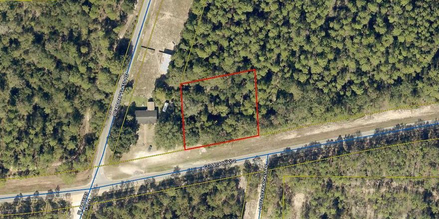 Treed one acre parcel in Laurel Hill. The property is a perfect place to build your new home on a paved road. Zoned agricultural. Come see this pretty piece of paradise today.