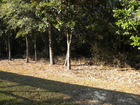 ASHLEY PLACE - Residential