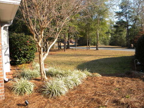 ASHLEY PLACE - Residential