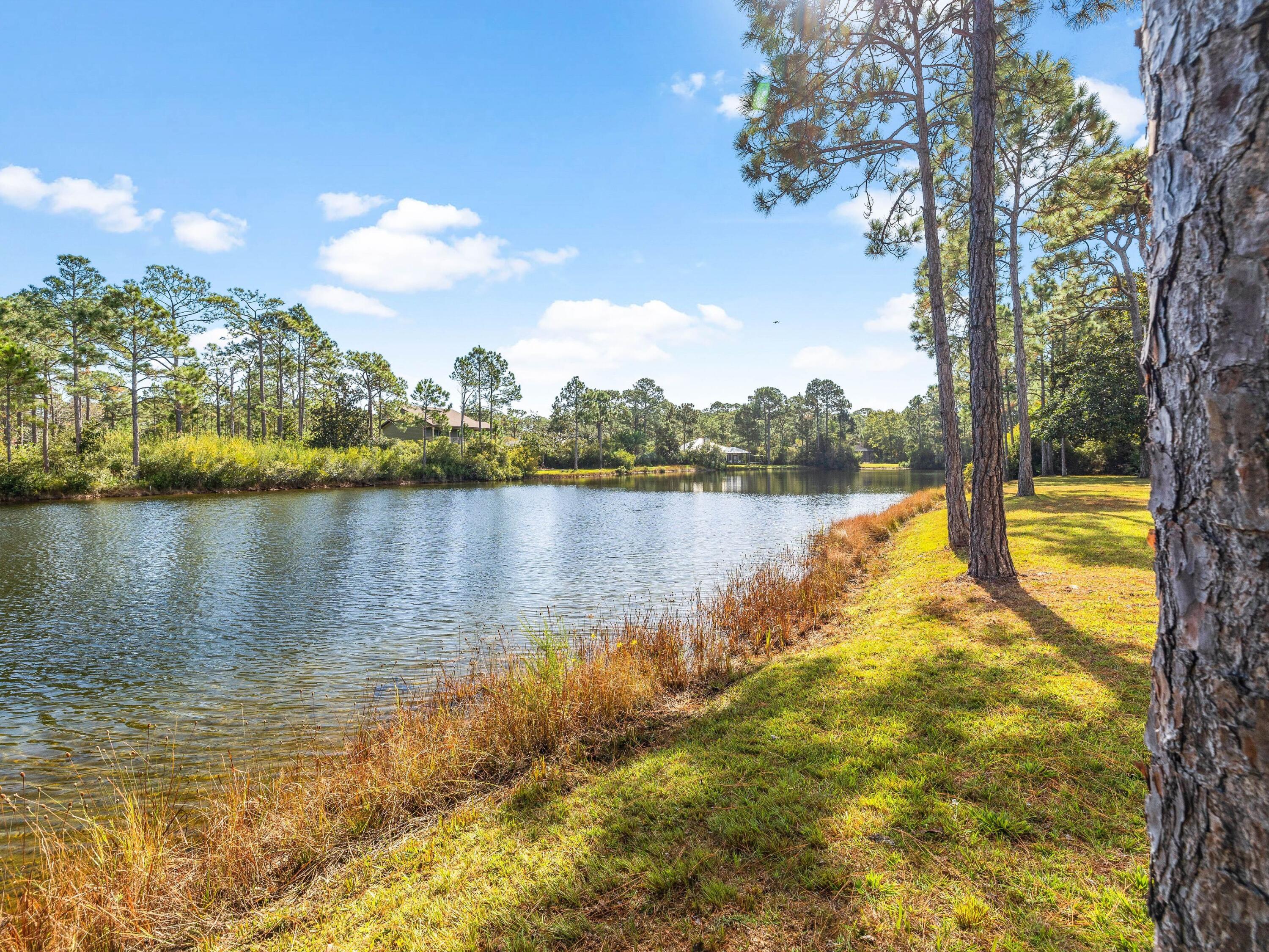 WOODLAND BAYOU ESTATES - Residential