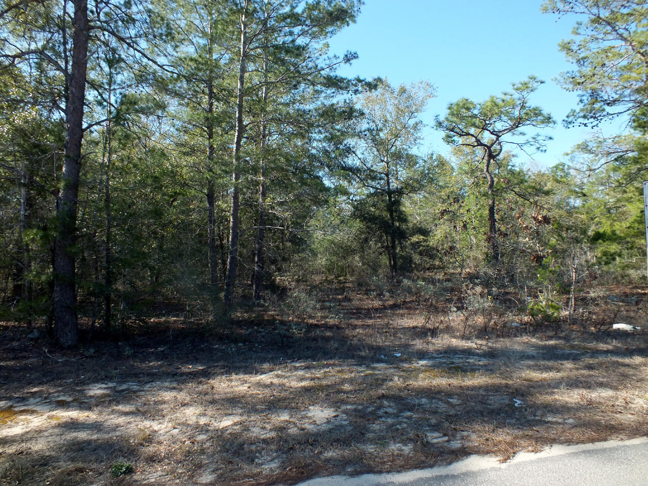 Very nice vacant land parcel offering several building possibilities. Public water and power are available at the road; however, a septic system will be required. The property has been part of a lot split and cannot be divided again. However, a 7 home site plan has been developed and is in Documents. The land is within 15 minutes of historic downtown DeFuniak Springs and less than 1 hour to the beaches, dining, and shopping of South Walton.