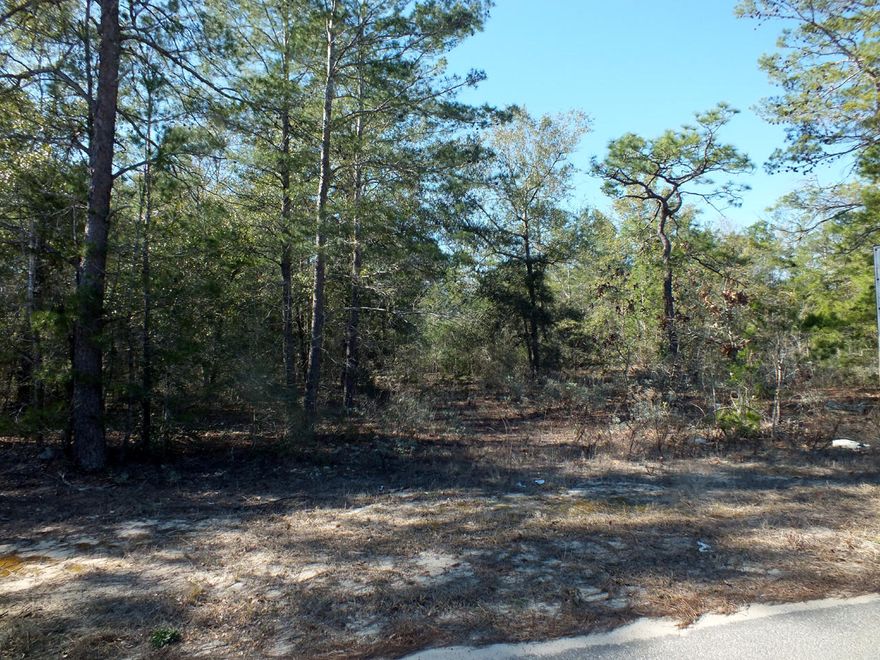 Very nice vacant land parcel offering several building possibilities.  Public water and power are available at the road; however, a septic system will be required.  The property has been part of a lot split and cannot be divided again.  However, a 7 home site plan has been developed and is in Documents. The land is within 15 minutes of historic downtown DeFuniak Springs and less than 1 hour to the beaches, dining, and shopping of South Walton.