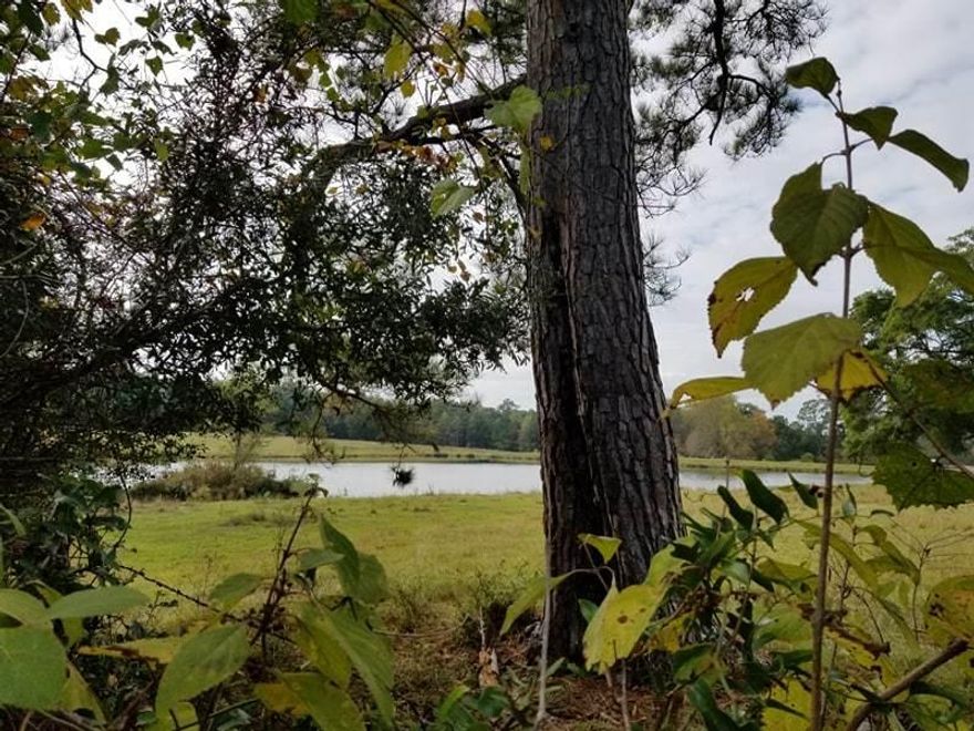 Hard to find small farm with a little of everything. 37.47 acres on a paved road that features a fantastic pond, 2 small watering holes, fenced pasture for livestock, barn, sheds, double detached carport plus a 3/2 1977 doublewide (1,732 sq ft). Some woodlands with plenty of wildlife making this perfect for hunting or enjoying nature. Home is down a winding drive back off of the road allowing for privacy. Property is being sold as-is.
