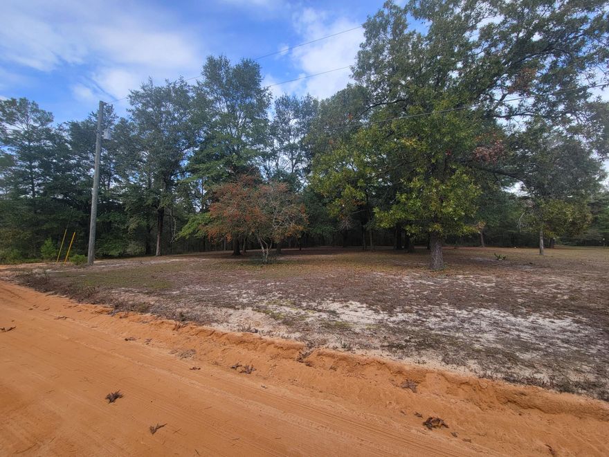 2 beautiful lots already cleared.  You will need a well and septic and power pole.  Manufactured homes allowed.  Others lots available in the same area. (this is just west of 114 West May Lilly - MLS #962917 house and two lots for sale) Other lots available in same area are: MLS #963028; and  MLS #963088 and MLS #963089
