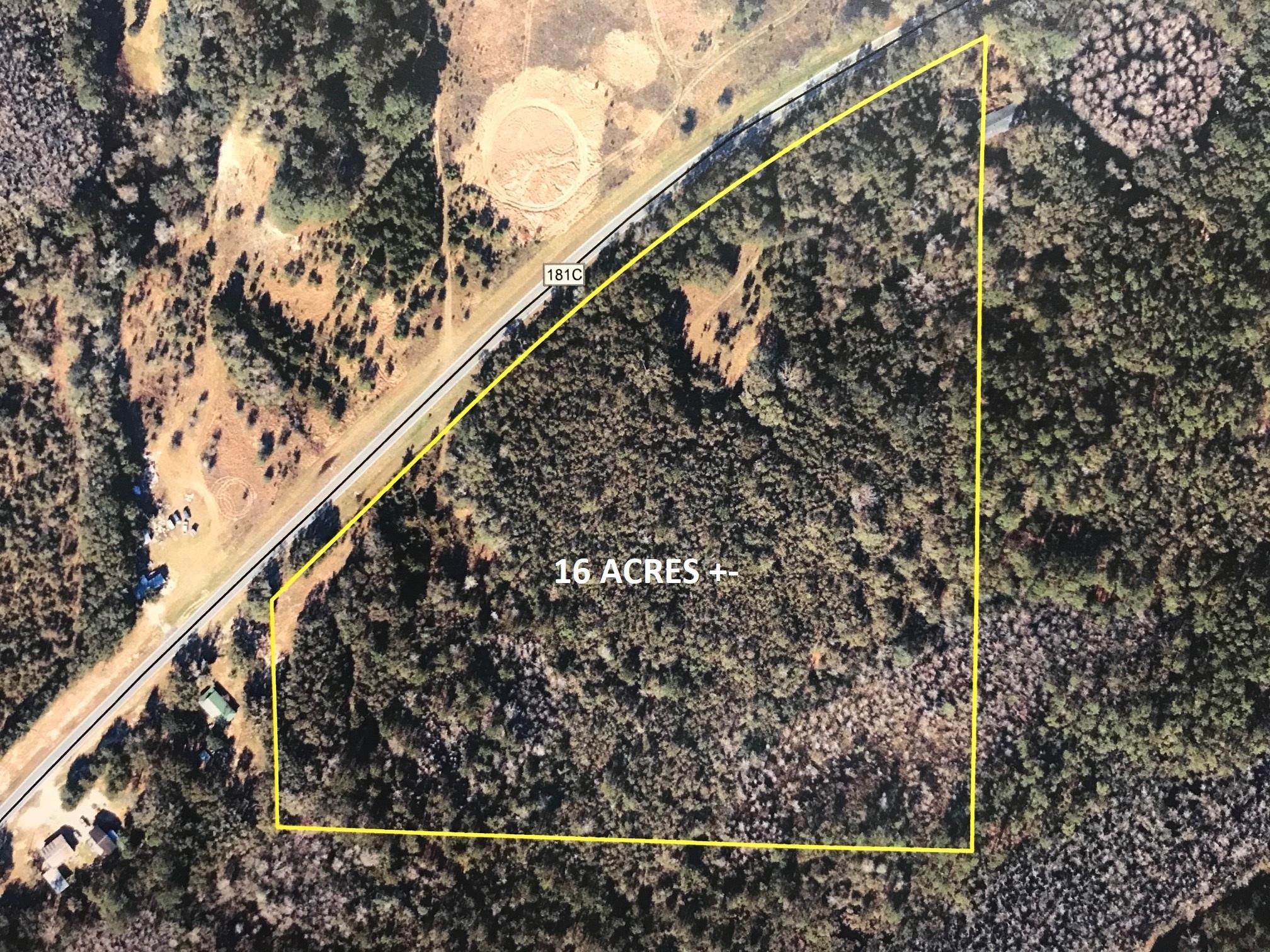 Wooded 16 acre parcel in NE Walton County. Paved road frontage. Price right. great country home site.