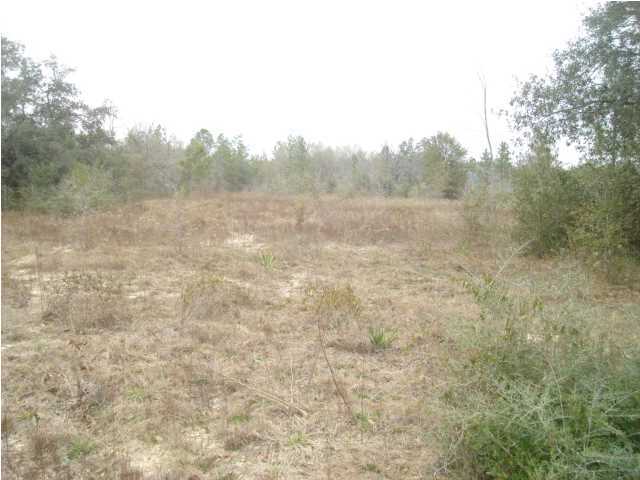 THE LOT IS LARGE SO YOU CAN BUILD YOUR NEW HOME,AND HAVE ROOM FOR YOUR OTHER ACTIVITIES. THE AREA IS BEING ESTABLISHED WITH NICE CUSTOM BUILD HOMES. LOT 28 IS LOCATED AT THE BOTTOM OF THE CULDESAC NO TRAFFIC.