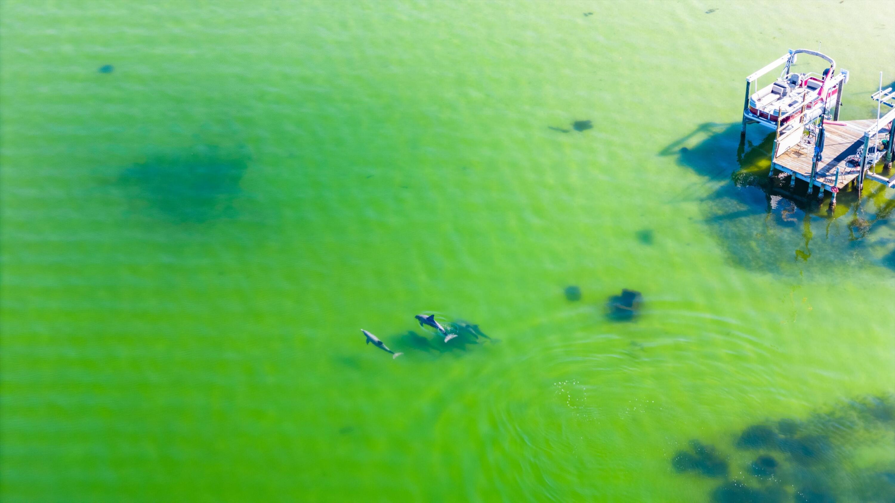 HUGHES ESTATES 1ST ADDN - Residential