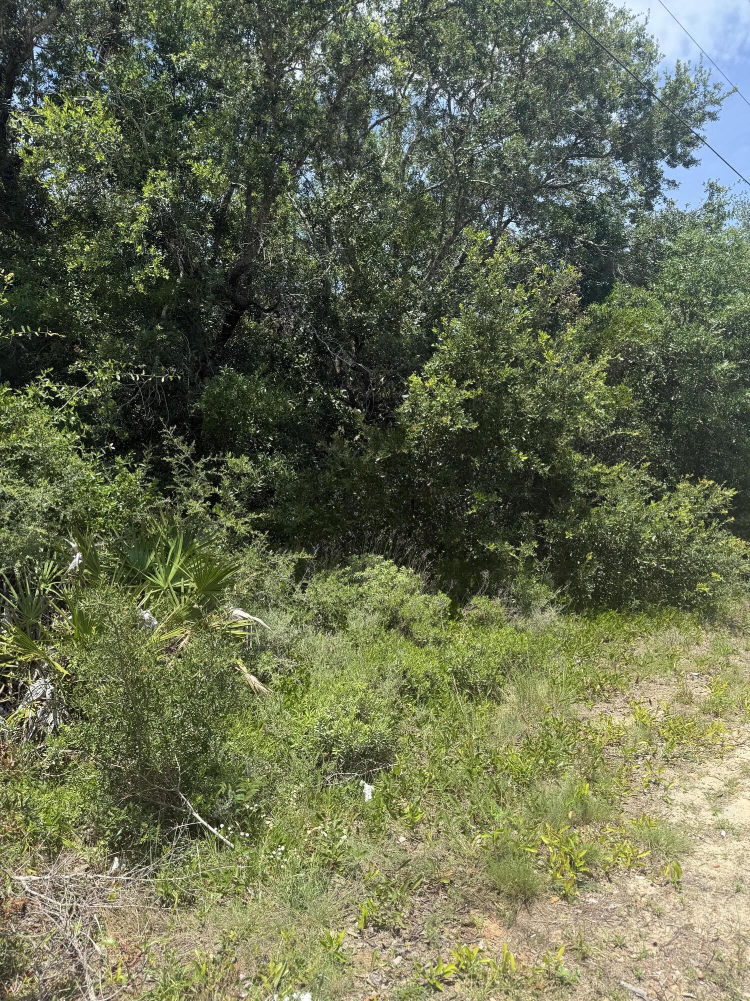 NO WETLANDS. NO HOA. IMPACT fees paid!! WATER AND SEWER TAP FEES PAID!!! SURVEY DONE!! Act quickly! This is a rare find nowadays and it's a PRIZED LOT! Huge 100' x 200' corner lot (corner adds 20') lot is big-parking cars, boats, motor homes; pool, garden, etc. & STILL have a big yard; mature trees; paved road; convenient to great schools, shopping, medical, Florida beaches, interstates, groceries, entertainment, recreation; natural gas available;