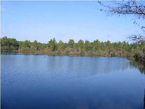 MAGNOLIA LAKE ESTATES PH 1 - Land