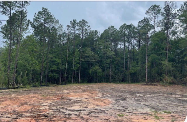 Vacant wooded 2.685 acre lot in the quiet and charming Laurel Hill area. Lot is on a paved road, partially cleared, leveled, and ready to build your DREAM home on. Public water and electricity are at the road already. Don't miss the chance to build on this beautiful lot.