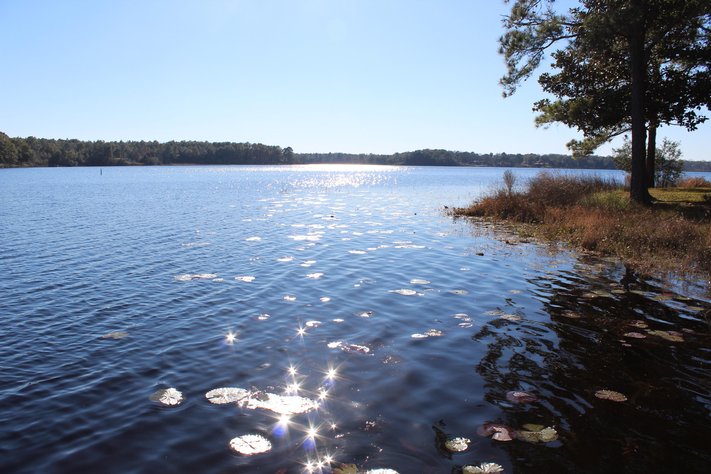 LAKE HOLLEY ESTATES - Residential