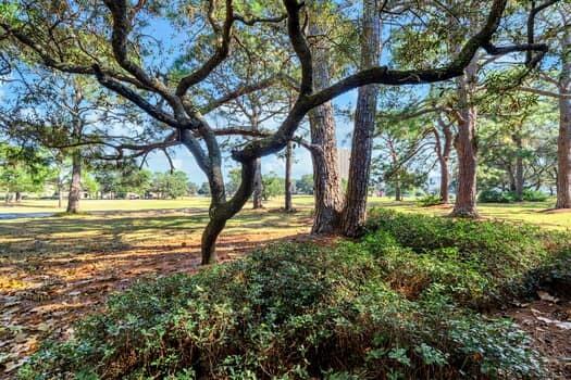 Seascape Resort - Residential