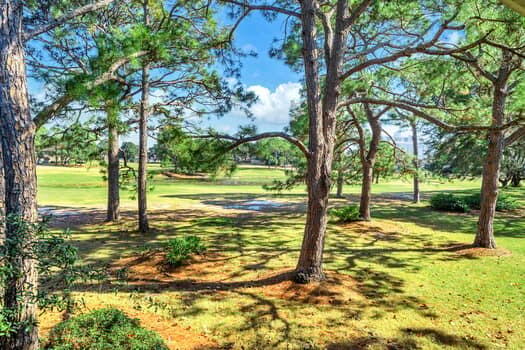 Seascape Resort - Residential