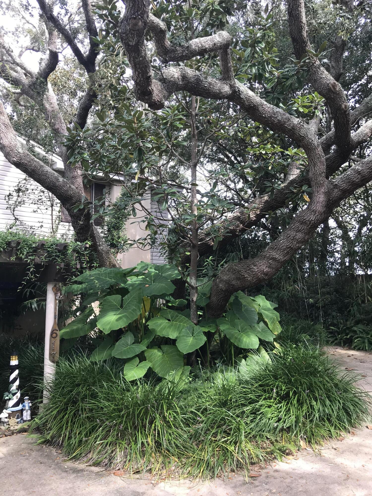 CALHOUN S/D TO DESTIN - Land