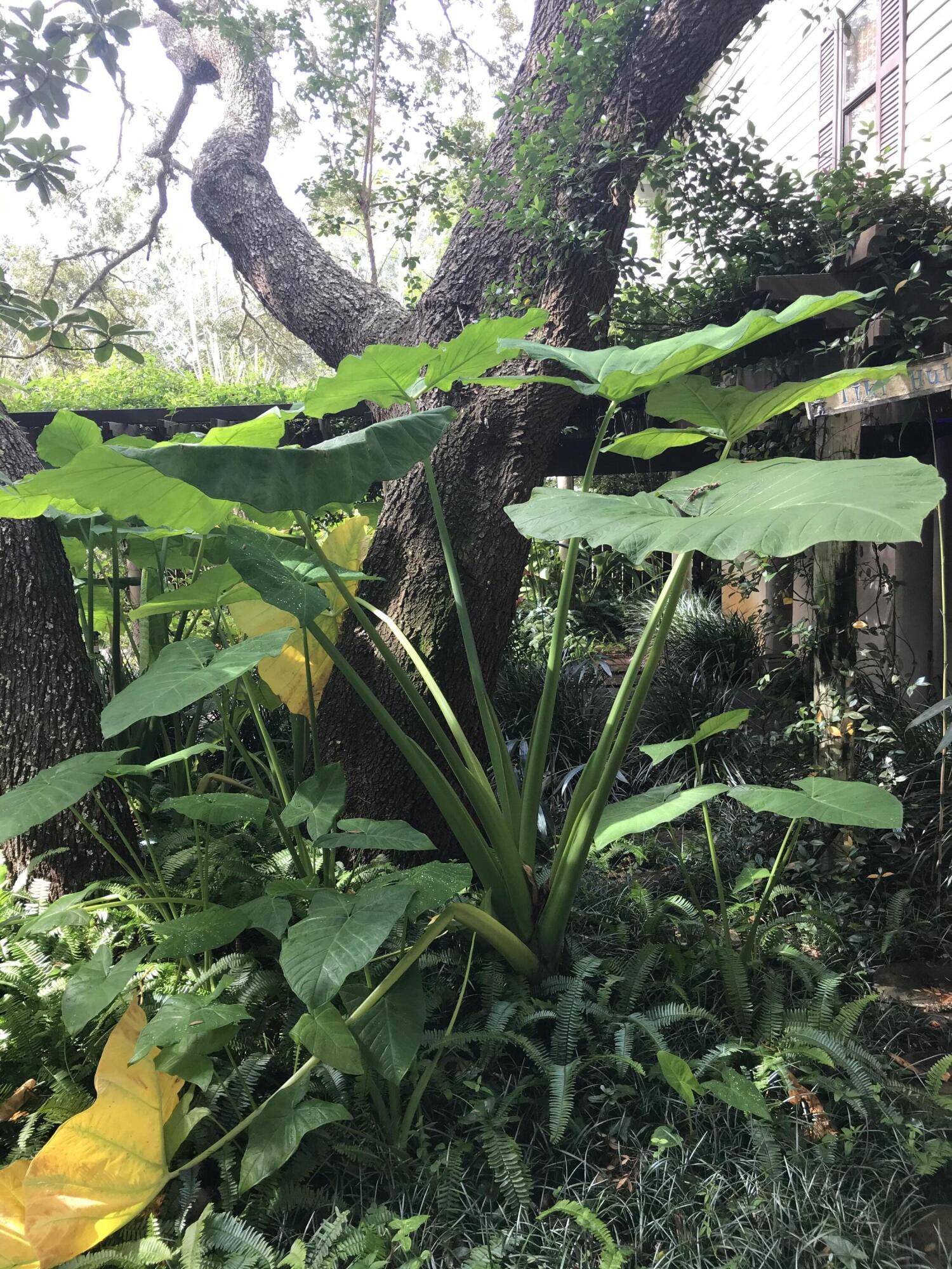 CALHOUN S/D TO DESTIN - Land