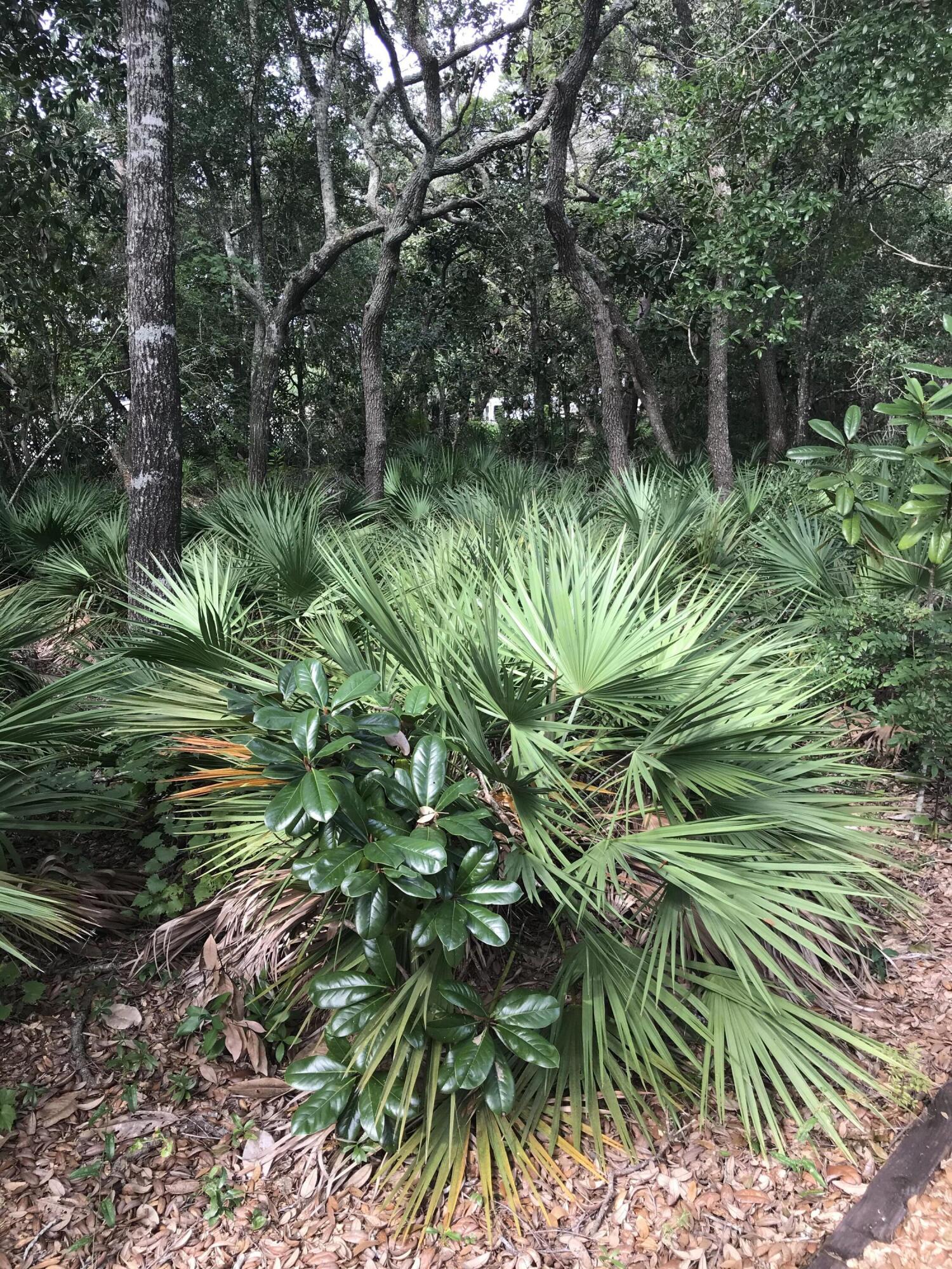 CALHOUN S/D TO DESTIN - Land