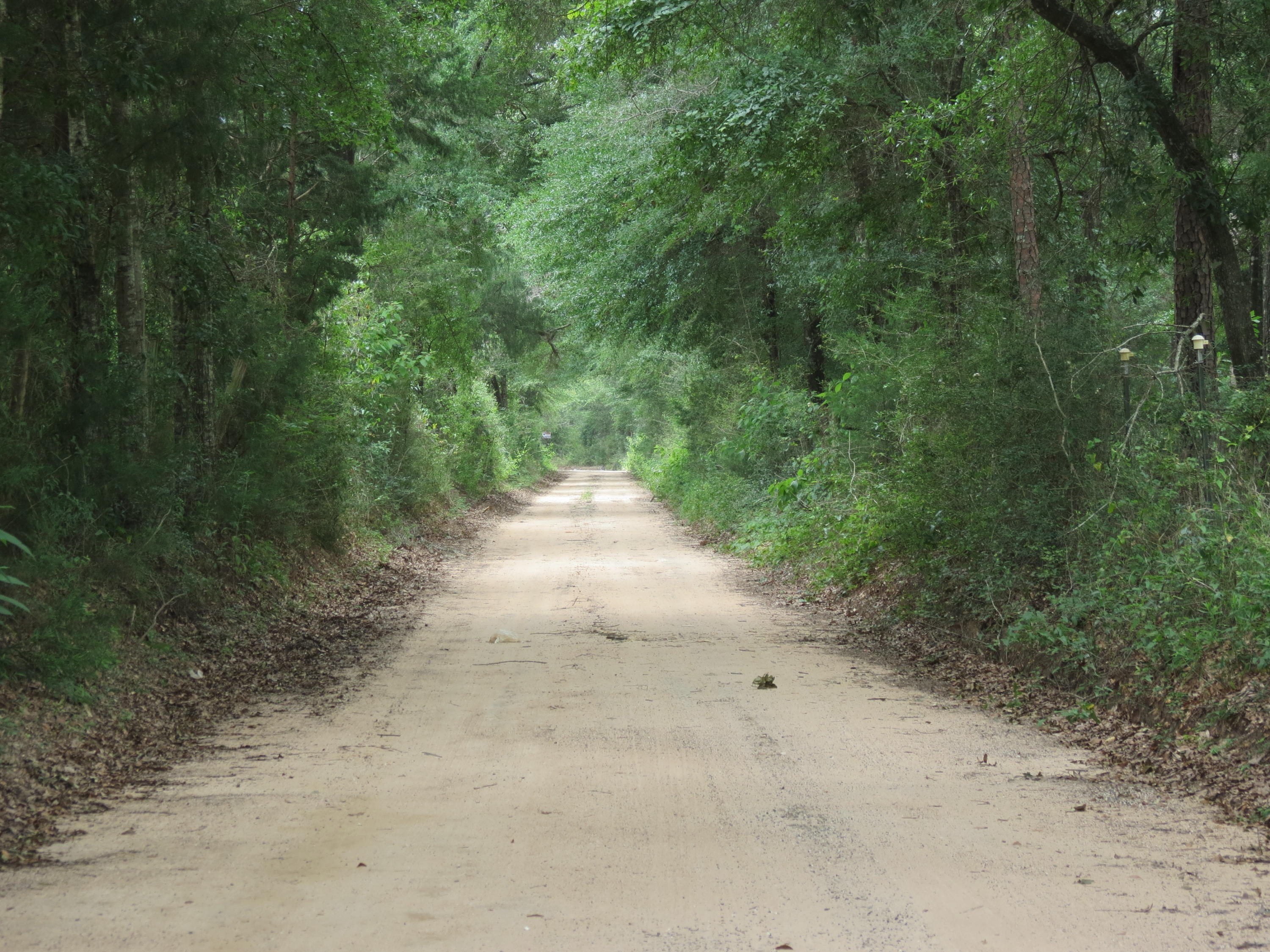 This Beautiful 9.32 Acre lot located in Holt Florida will make for a perfect home site with very few neighbors. Home features an abundance of beautiful hardwoods scattered throughout and a nice clearing to start construction. You could also use this property as a recreational get away. The South end of the property backs up to several acres of timberland that should provide wildlife galore. Being only .15 miles from hwy 90 you are a short drive to Holt, Baker, and only 20 Minutes from the heart of Crestview.