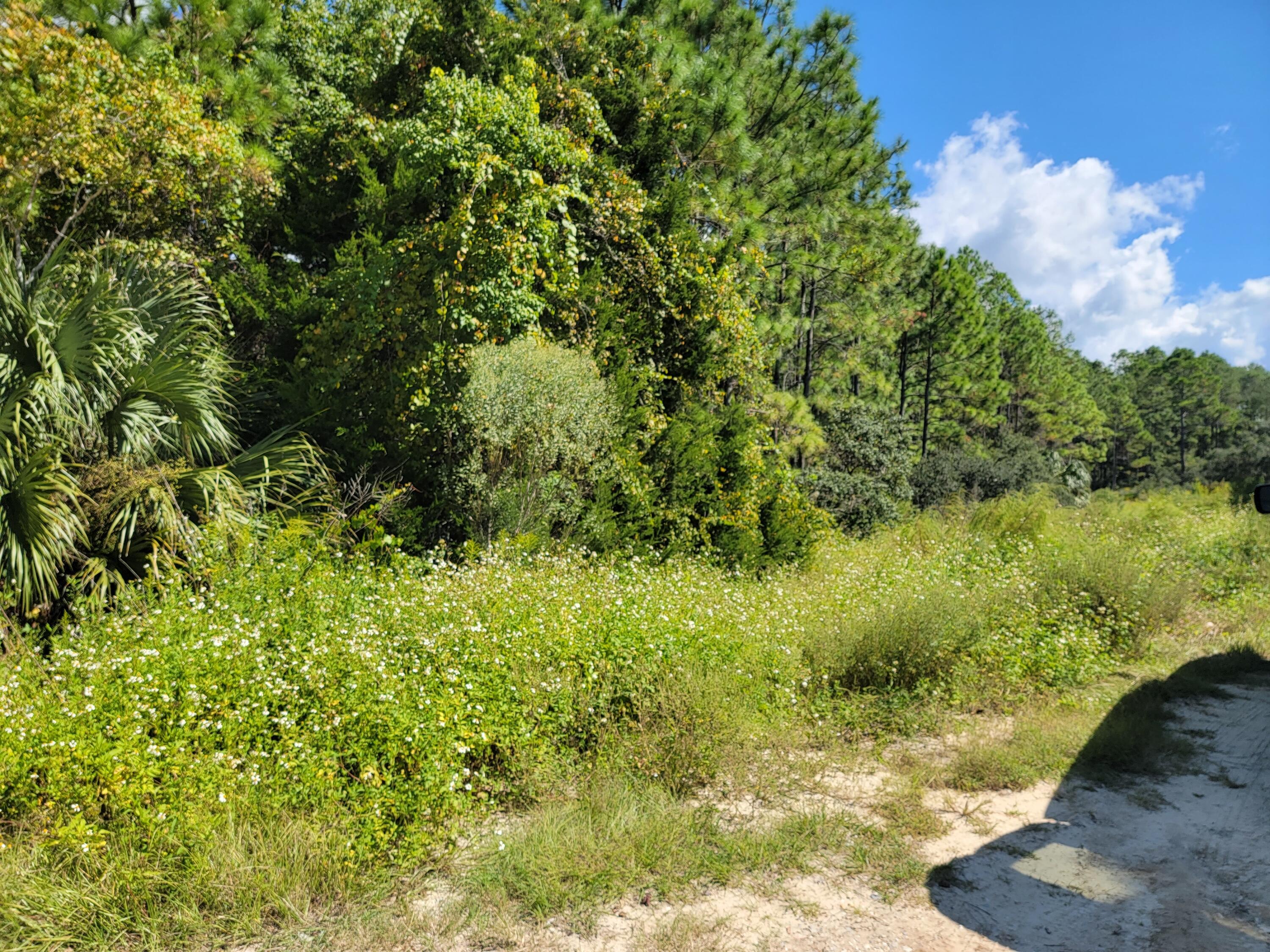 GULF SHORE MANOR - Land