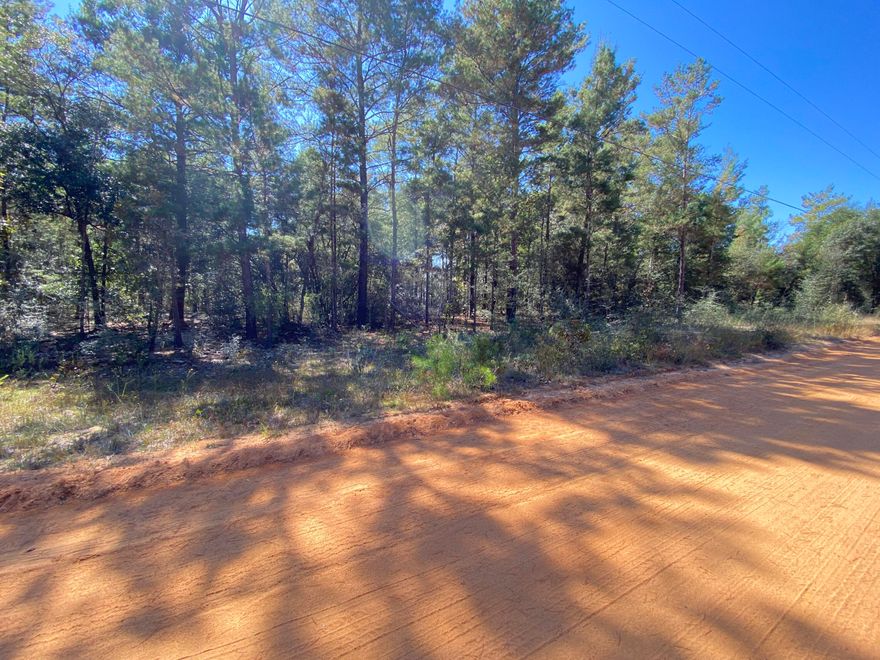 Good size lot to build a nice home. Nice proximity to I-10 for easy commute.